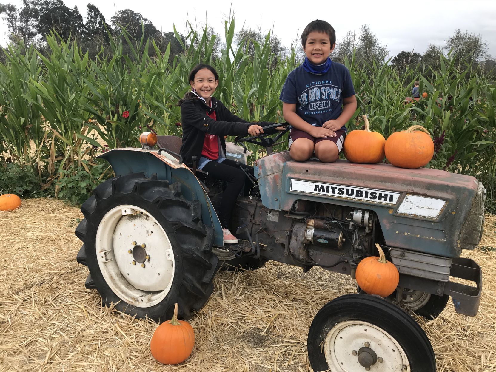 Faces and Places, October 25